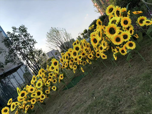 衡陽綠地城際空間站2019金秋包裝系列，衡陽房地產(chǎn)案場包裝案例